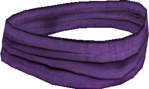 Novice Ardent's Sash