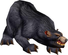 Black Bear