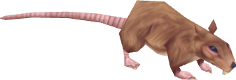 Dig Rat