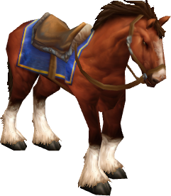 Chestnut Mare