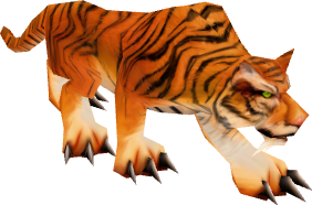Elder Stranglethorn Tiger