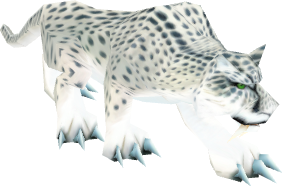 Snow Leopard