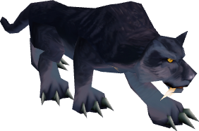 Panther